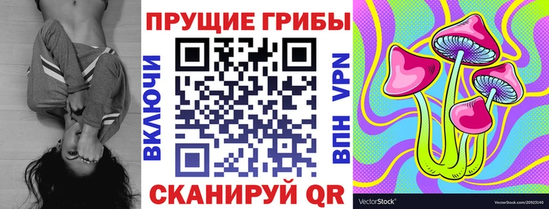 Купить закладки  Петрозаводск  Галлюциногенные грибы Psilocybine cubensis 